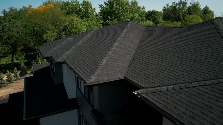 Best Roof Moss and Algae Removal  in Leland Grove, IL